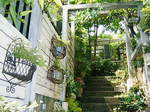 2008_0529n[onEX0002.JPG