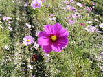 2008_1222RXX0004.JPG