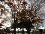 DSC01461.JPG