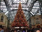 DSC01465.JPG
