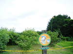 DSCF4005.jpg