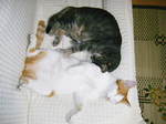 DSCF4037.jpg