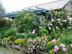 DSCF4122.jpg